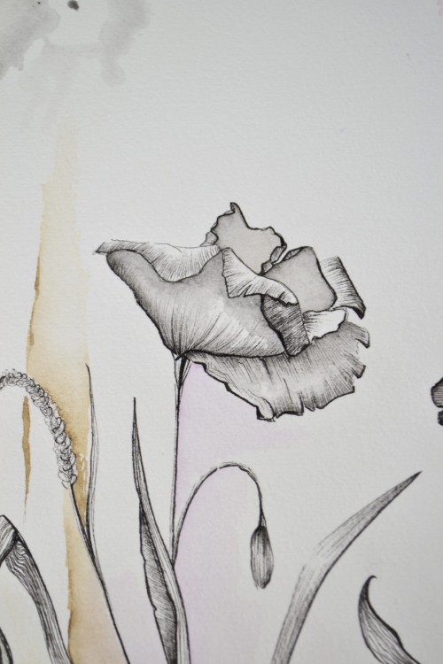 Minimalistyczny obraz botaniczny wykonany akwarelą i tuszem. Delikatna ilustracja kwiatowa do jasnych, nowoczesnych wnętrz.